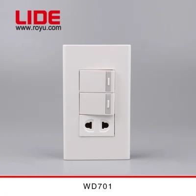 Tipo de módulo 16A 2 Gang Switch com soquete (WD701)